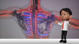 Your Body & Islam Ep3